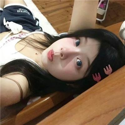 守法公民