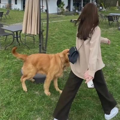 独特的兄弟